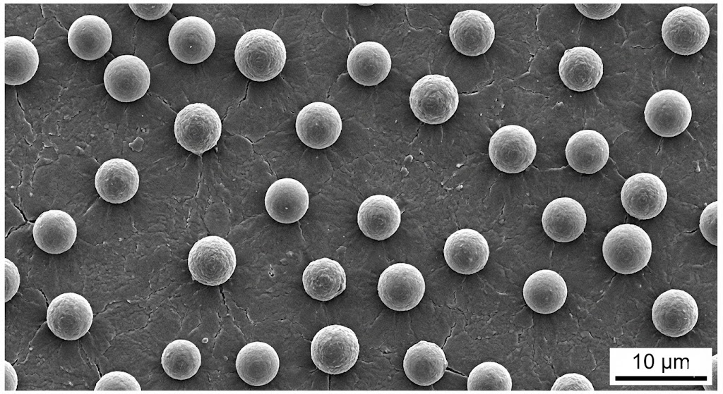 تصویر میکروسکوپی از ذرات اکسید آهن در بافت رزین